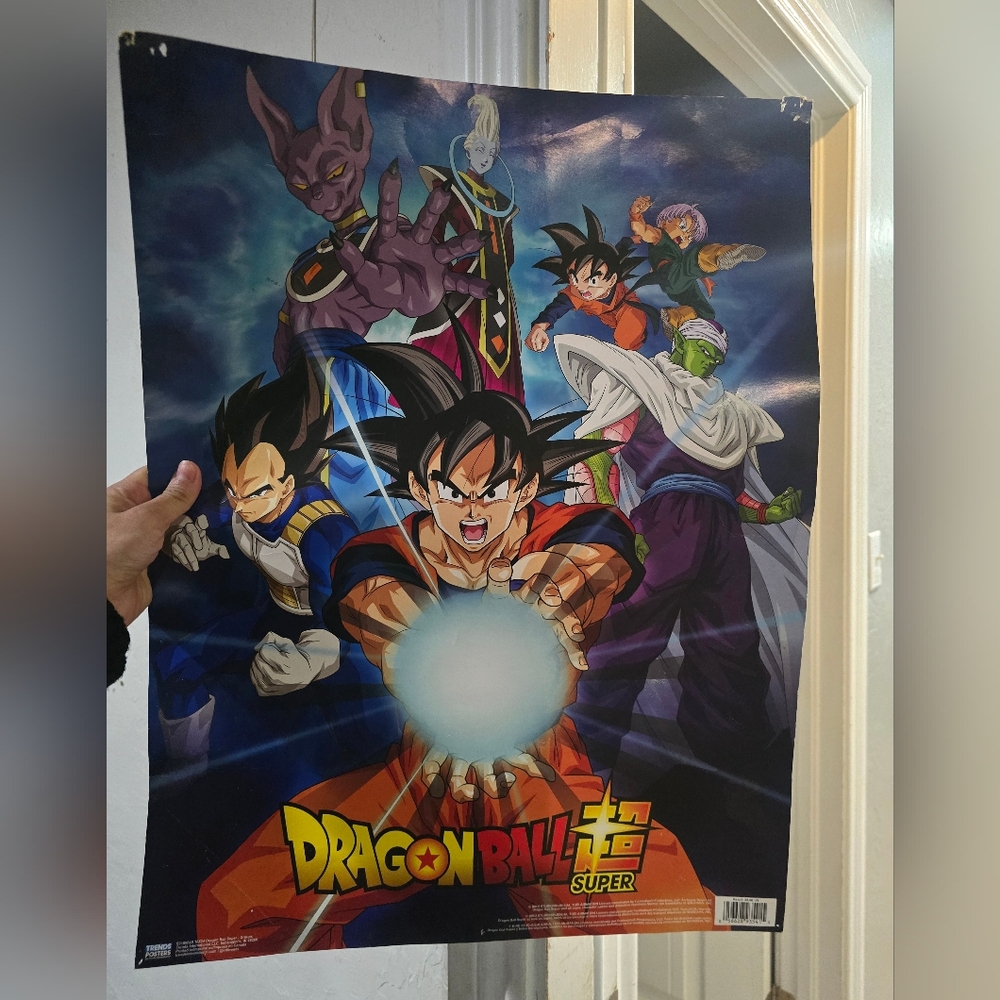 Dragon Ball Super movie poster Good condition